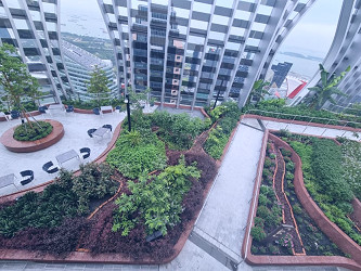 51 floors up in Singapore, the world's highest urban farm produces  surprises for its restaurants - CNA Lifestyle